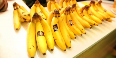 VENTAJAS Los productos 100% NATURALES son seleccionados y procesados íntegramente a partir de materias primas naturales, sin aditivos, sin conservantes y sin