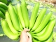 ¿QUÉ ES APLICACIÓN SOLAMENTE? Nuestros productos han sido exportados a muchos países de todo el mundo y también han recibido la satisfacción de los mercados