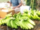 ¿QUÉ ES APLICACIÓN SOLAMENTE? Nuestros productos han sido exportados a muchos países de todo el mundo y también han recibido la satisfacción de los mercados