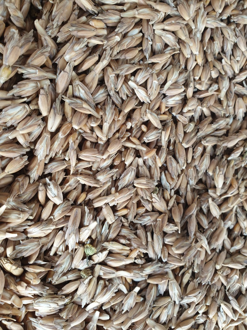Espelta con certificado ecológico Agro Bio Test