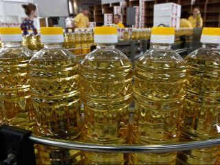 El aceite de canola es un aceite vegetal derivado