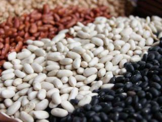Exportamos granos de calidad de Ucrania. Más de 20