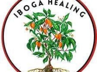 Iboga para la venta l'âge y una pequeña cantidad