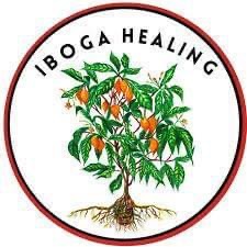 IBOGA EN VENTA