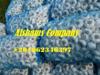 Somos ALshams para importación y exportación en general. Podemos