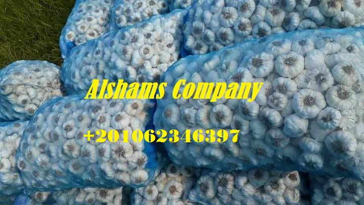 Somos ALshams para importación y exportación en general