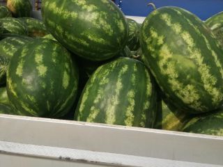 Producto procedente de la isla de Capo Rizzuto, CALABRIA