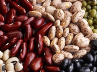 Frijoles de los campos de Ucrania, nueva cosecha, al