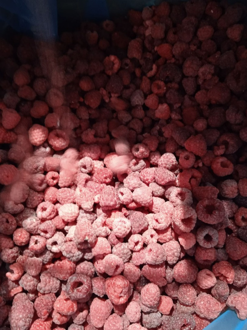 Venderé una frambuesa congelada 80/20 de Ucrania