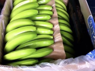 Bananas frescas Cavendish a la venta contáctenos para más
