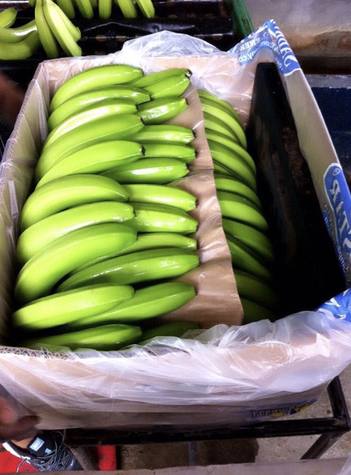 Bananas frescas Cavendish a la venta contáctenos para más información