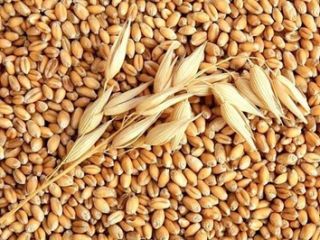 Precio medio del maíz amarillo a partir de 233