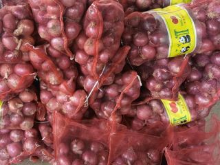 Cebollas rojas de calidad para la venta Póngase en