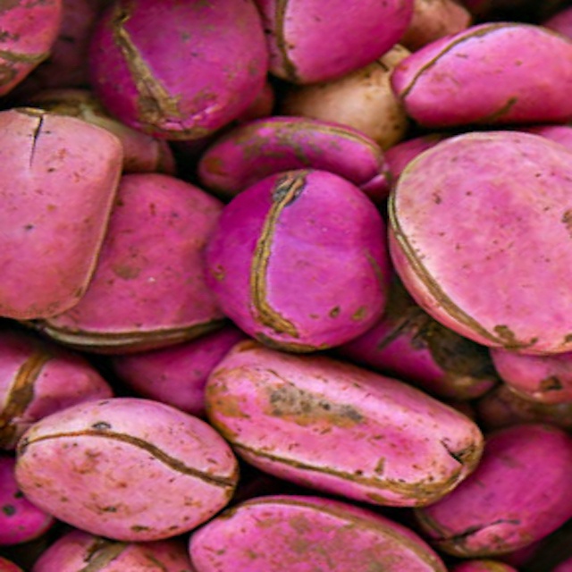 Tipo de producto: Nueces y granos Tipo de cultivo: COMÚN Grado: MEJOR CALIDAD Marca: KOLANUT Nombre del producto: Nuez de cola africana Otro nombre: Nueces de