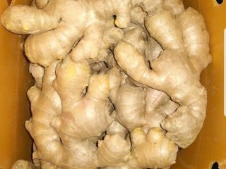 El jengibre se puede utilizar como polvo seco fresco