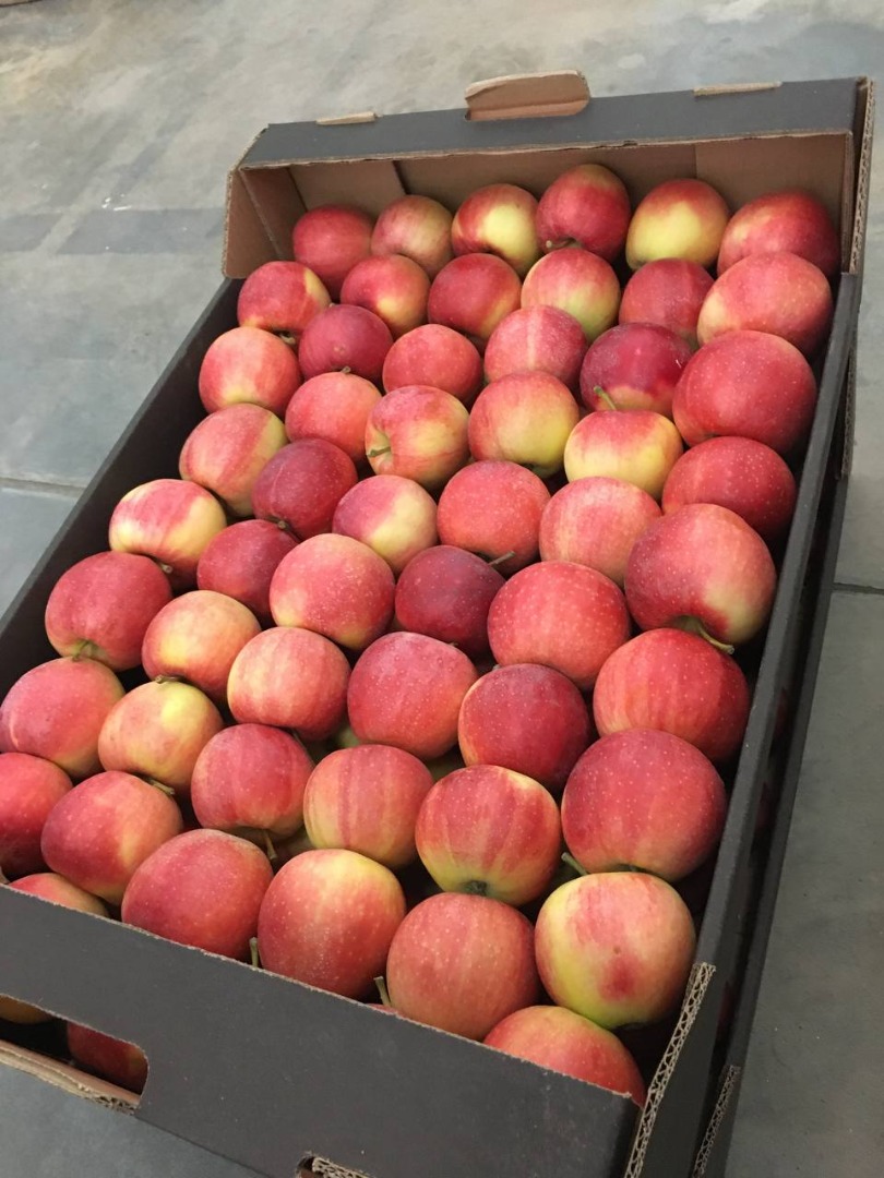 Manzana Fuji Piel suave con color rojo claro, alto contenido de azúcar con sabor dulce, muy firme y jugosa