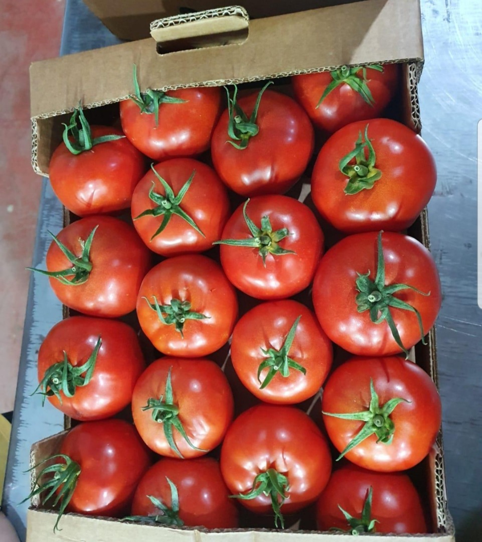 somos una empresa familiar que cuenta con 15 años de experiencia en el sector de suministros hortofrutícolas frescos