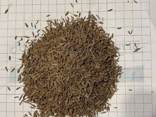Vendo comino, hay 19500 kg en 25 kg ppb,