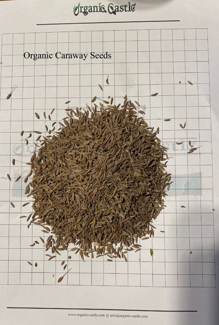 Vendo comino, hay 19500 kg en 25 kg ppb, el precio es PLN 4200 / ton, la mercancía está en un almacén en Polonia