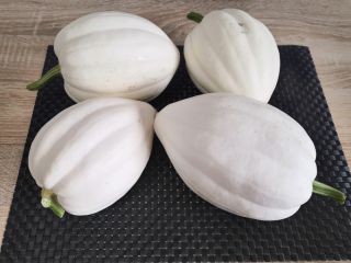 Venderé calabazas de bellota de mi propio cultivo orgánico