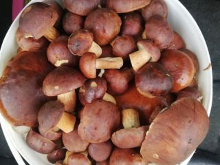 Vendo boletes de 5l por 50 PLN.