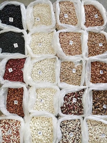 Granos de alta calidad de Ucrania La empresa Bins Naturproduct vende granos de alta calidad con entrega en Europa y Asia