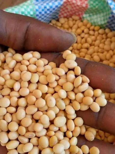200 toneladas de soja a la venta, 200 toneladas