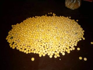 200 toneladas de soja a la venta, 200 toneladas.