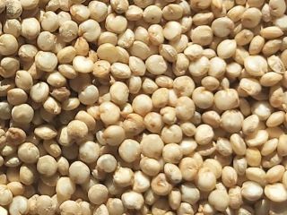 La quinua es un producto único originario de los