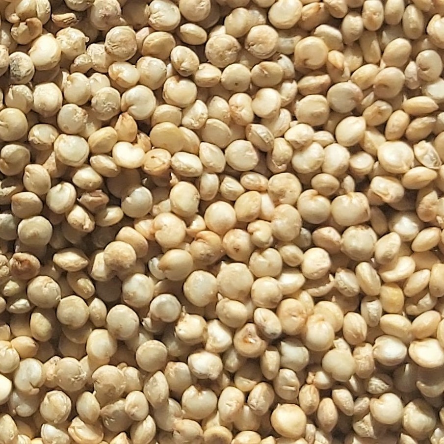 La quinua es un producto único originario de los Andes peruanos