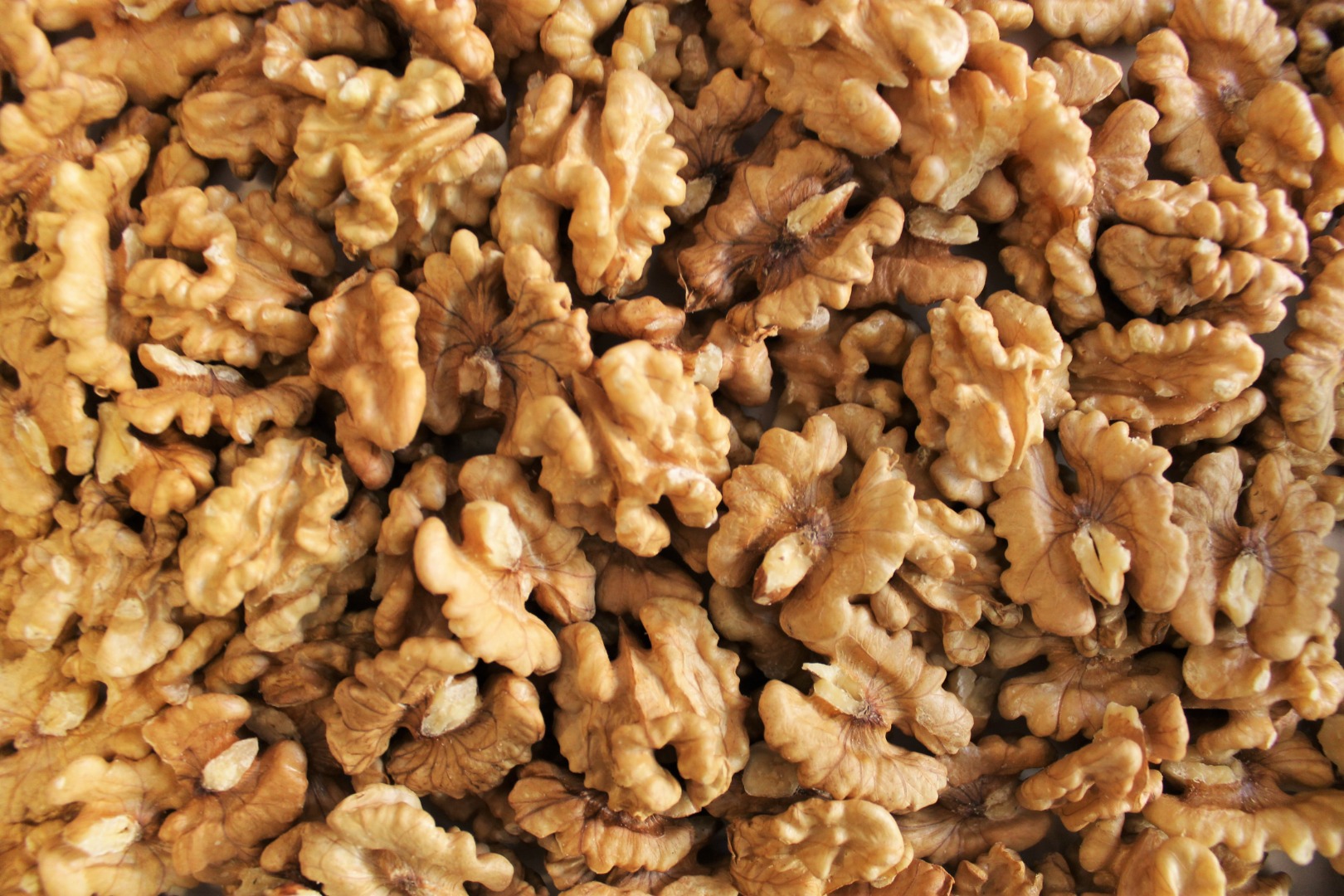Vendo nueces ucranianas sin cáscara a buen precio