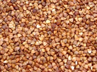 Somos envasador y exportador de cereales, legumbres y otros