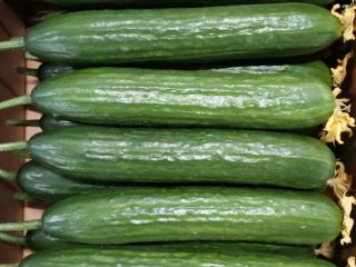 Pepinos meva. Los productos se encuentran en Polonia. Pago