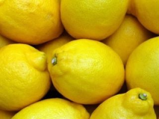 Venderé limones a granel. Precio negociado.