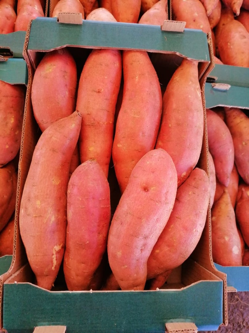 Variedad de camote (Beauregard) Tamaños: S - M - L1 - L2 Peso neto por caja 6 KGS Total de cajas por caja 3240 Detalles del tamaño S (80-150) M (150-300) L1