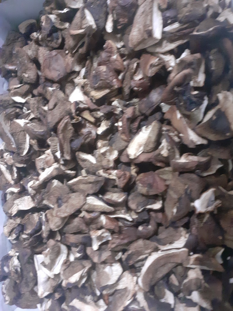 Los boletes de este año se secan en secadoras