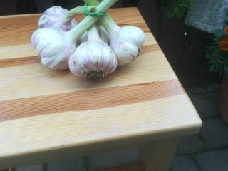 Venderé ajo, variedad harnaś. Ajo vendido por cabezas a