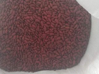 Venderé frijoles rojos secos este año