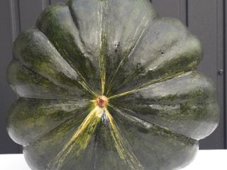Venderé una calabaza moscatel de provence, bellamente coloreada con