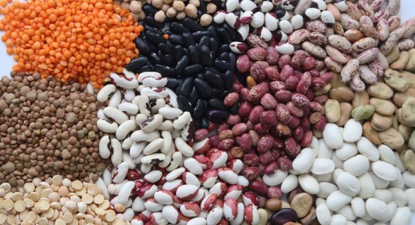 Surtido de frijoles