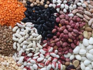 Frijoles en surtido. Más de 20 variedades La empresa