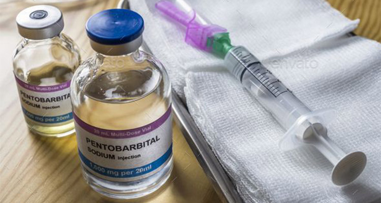 compre píldoras, líquidos, polvos y más baratos de Pentobarbital Nembutal en línea