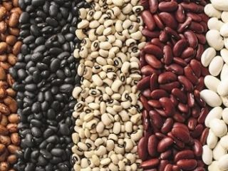 Frijoles. Cualquier volumen. Entrega de frijoles de Ucrania. Ventas