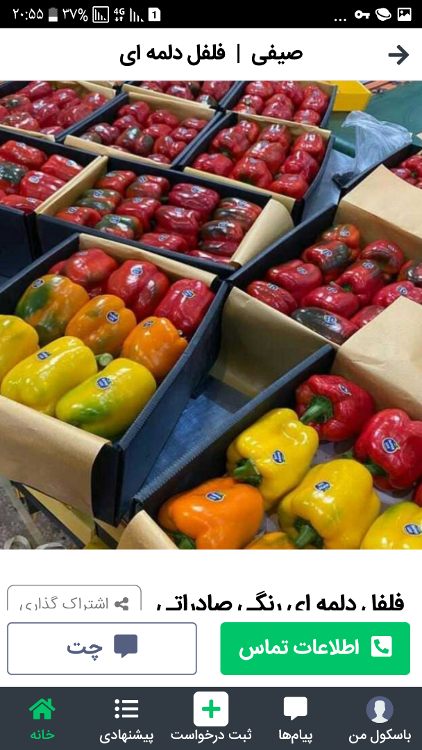 Tipos de productos de pimiento coloreado en diferentes tamaños y colores Teléfono de contacto para negociación vía WhatsApp o Telegram