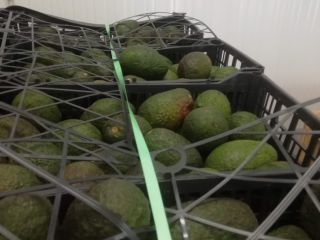 Cantidad mínima 1000 kg Calidad asegurada