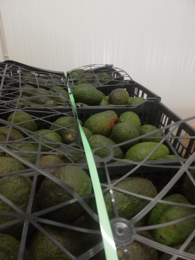 Cantidad mínima 1000 kg Calidad asegurada