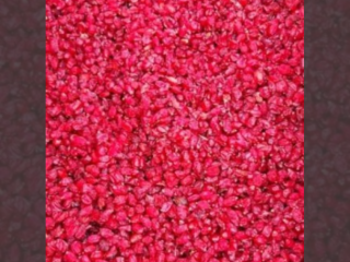 Somos el mayor proveedor y productor de agracejo de