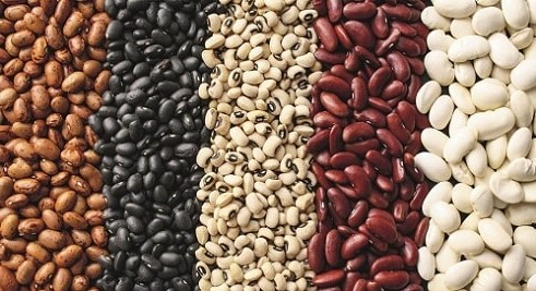 Frijoles