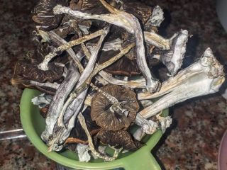 Cultivamos las mejores setas y tope con productos ecológicos