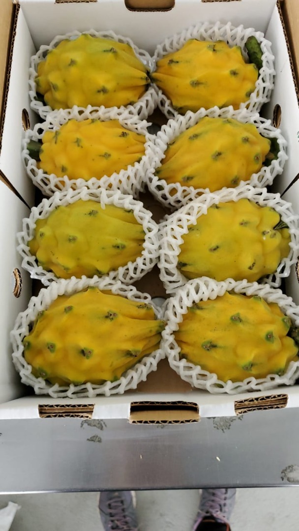 Frutas deshidratadas y en polvo para snacks smoothies postres helados ..etc